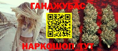 мдпв Новодвинск