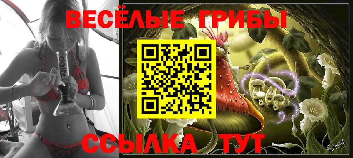 цена наркотик  Вход с VPN  Шарыпово  Псилоцибиновые грибы Psilocybe 